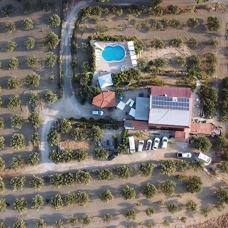 Terra Nostra Bed & Breakfast Cattolica Eraclea Екстериор снимка